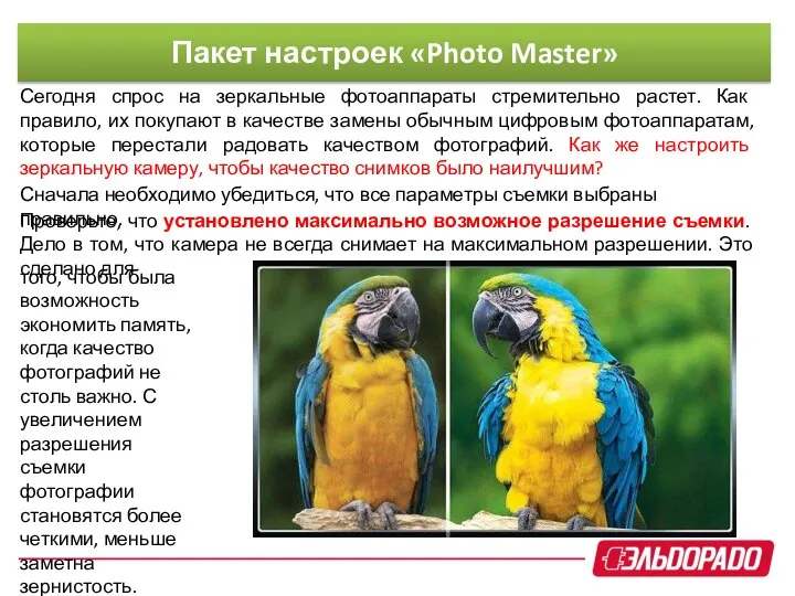 Пакет настроек «Photo Master» Сегодня спрос на зеркальные фотоаппараты стремительно растет.