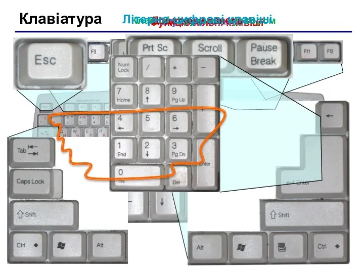 Клавіатура Функціональні клавіші Службові клавіші Клавіші керування курсором Додаткова панель Літерно-цифрові клавіші