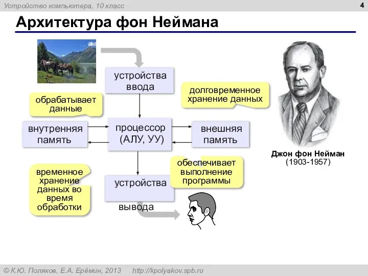 Архитектура фон Неймана обрабатывает данные обеспечивает выполнение программы временное хранение данных