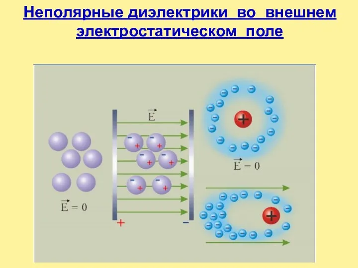 Неполярные диэлектрики во внешнем электростатическом поле