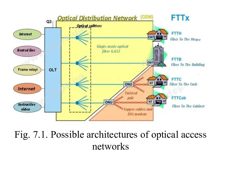 Fig. 7.1. Possible architectures of optical access networks