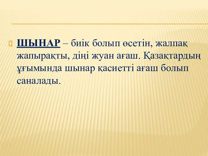 ШЫНАР – биік болып өсетін, жалпақ жапырақты, діңі жуан ағаш. Қазақтардың