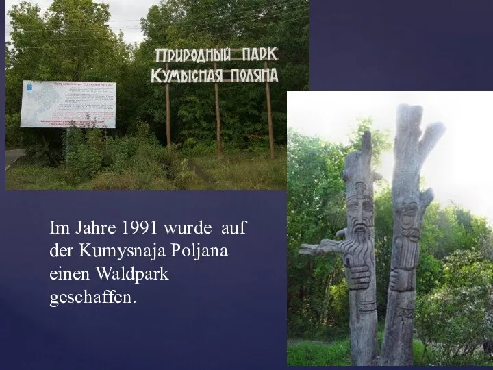 Im Jahre 1991 wurde auf der Kumysnaja Poljana einen Waldpark geschaffen.