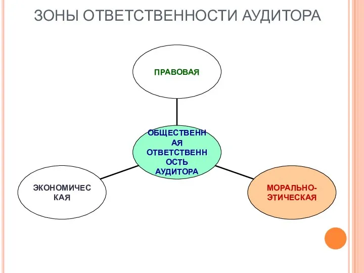 ЗОНЫ ОТВЕТСТВЕННОСТИ АУДИТОРА