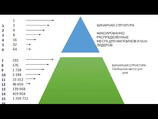 БИНАРНАЯ СТРУКТУРА ФИКСИРОВАННО РАСПРЕДЕЛЁННЫЕ МЕСТА ДЛЯ МАГАЗИНОВ И MLM ЛИДЕРОВ БИНАРНАЯ