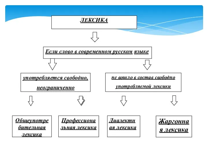 ЛЕКСИКА Если слово в современном русском языке употребляется свободно, неограниченно не