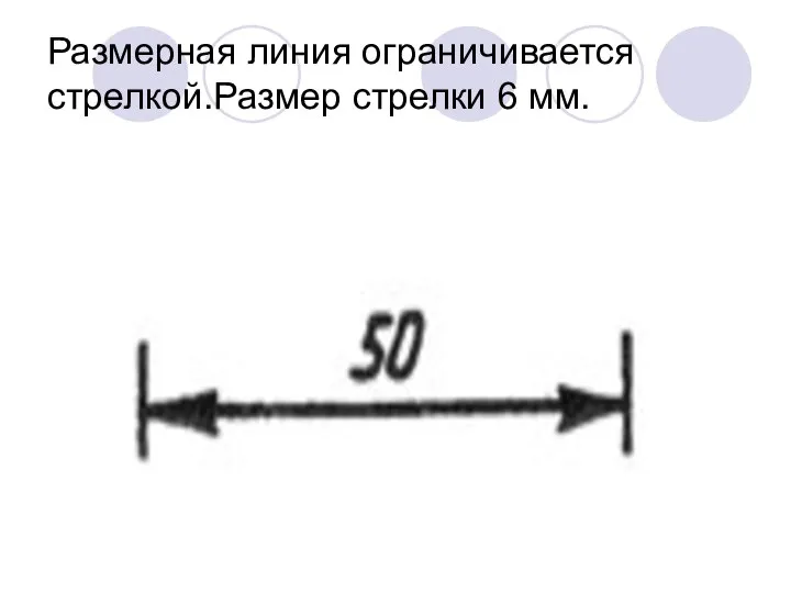 Размерная линия ограничивается стрелкой.Размер стрелки 6 мм.