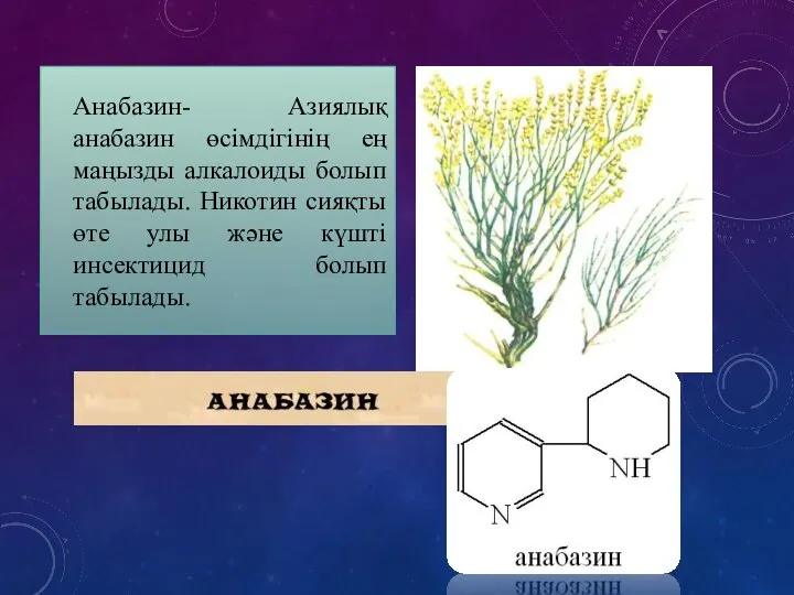 Анабазин- Азиялық анабазин өсімдігінің ең маңызды алкалоиды болып табылады. Никотин сияқты