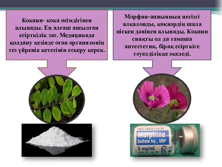 Кокаин- кока өсімдігінен алынады. Ең алғаш ашылған есірткілік зат. Медицинада қолдану