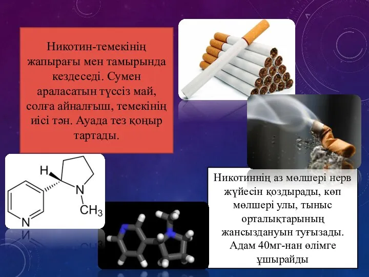 Никотин-темекінің жапырағы мен тамырында кездеседі. Сумен араласатын түссіз май, солға айналғыш,