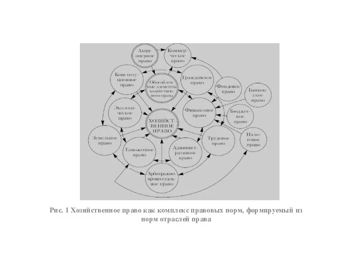Рис. 1 Хозяйственное право как комплекс правовых норм, формируемый из норм отраслей права