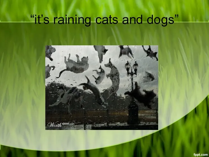 “it’s raining cats and dogs”