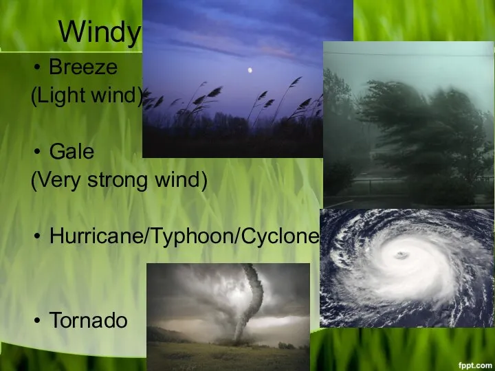 Windy Breeze (Light wind) Gale (Very strong wind) Hurricane/Typhoon/Cyclone Tornado