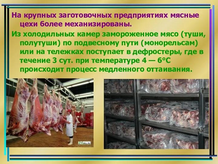 На крупных заготовочных предприятиях мясные цехи более механизированы. Из холодильных камер