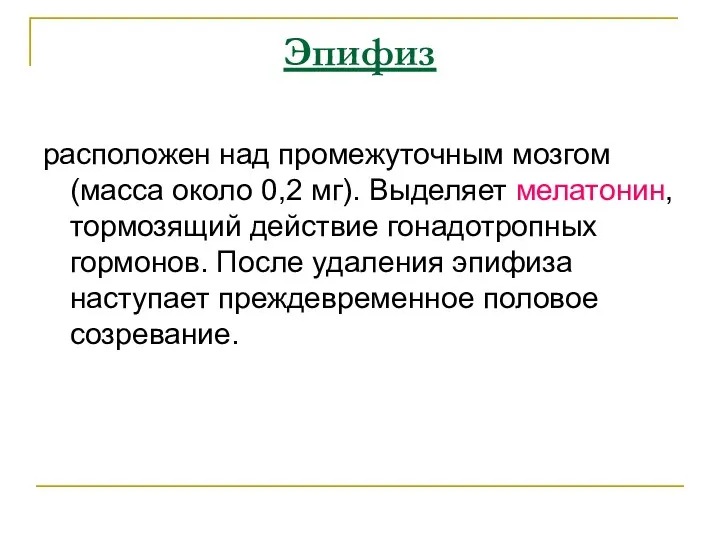 Эпифиз расположен над промежуточным мозгом (масса около 0,2 мг). Выделяет мелатонин,