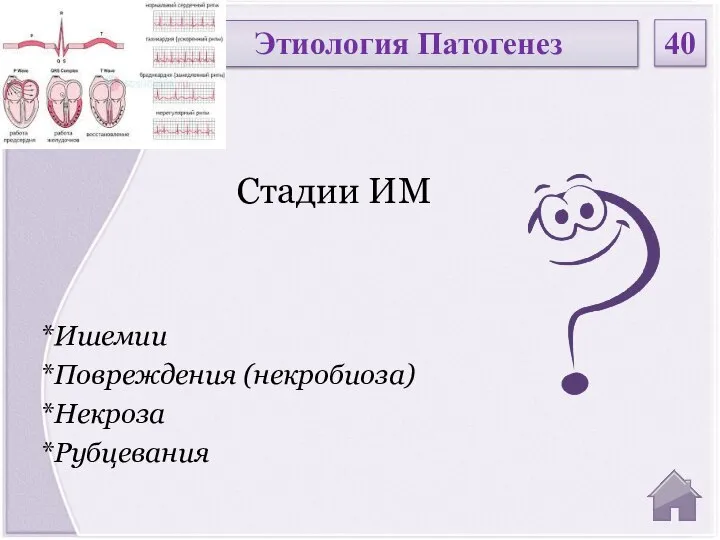 *Ишемии *Повреждения (некробиоза) *Некроза *Рубцевания Стадии ИМ Этиология Патогенез 40