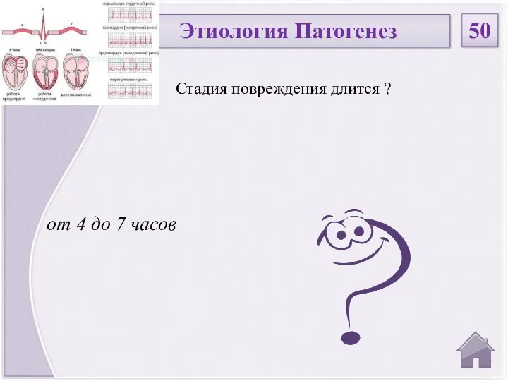 от 4 до 7 часов Стадия повреждения длится ? Этиология Патогенез 50