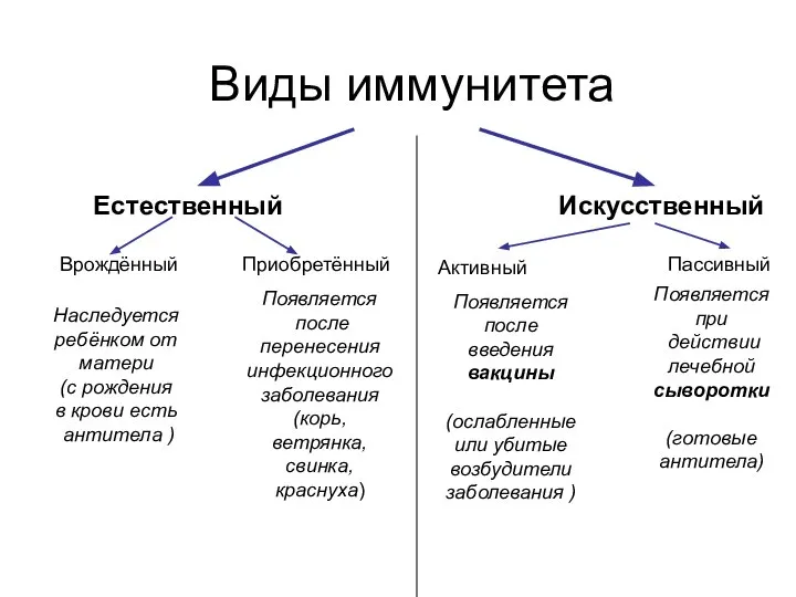 Виды иммунитета Естественный Искусственный Врождённый Приобретённый Наследуется ребёнком от матери (с