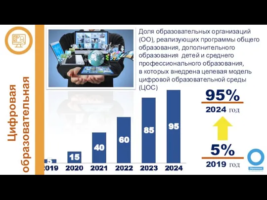 Цифровая образовательная среда Доля образовательных организаций (ОО), реализующих программы общего образования,