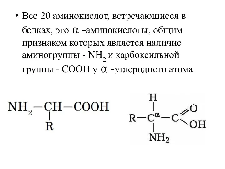 Все 20 аминокислот, встречающиеся в белках, это α -аминокислоты, общим признаком