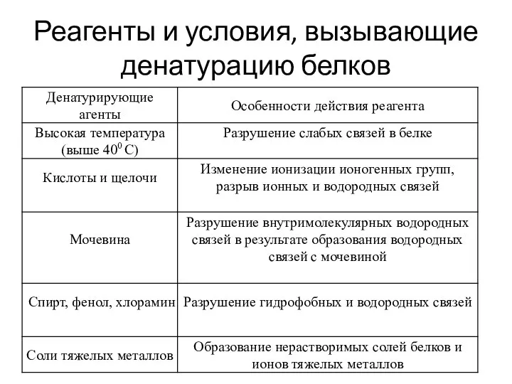 Реагенты и условия, вызывающие денатурацию белков