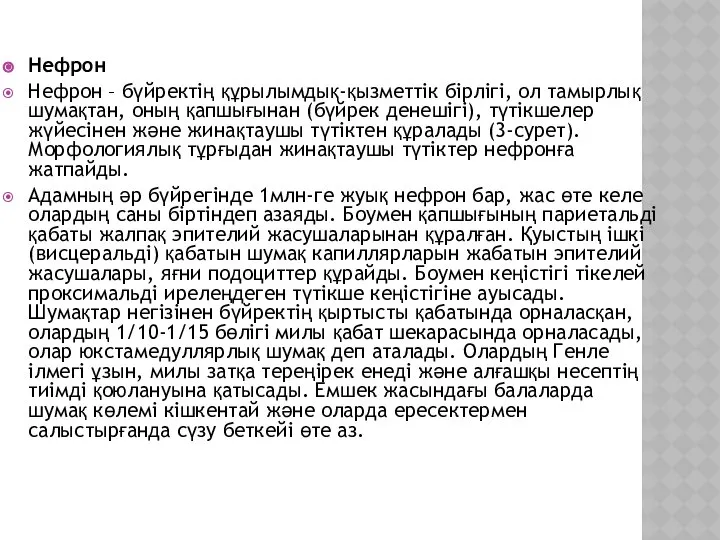Нефрон Нефрон – бүйректің құрылымдық-қызметтік бірлігі, ол тамырлық шумақтан, оның қапшығынан