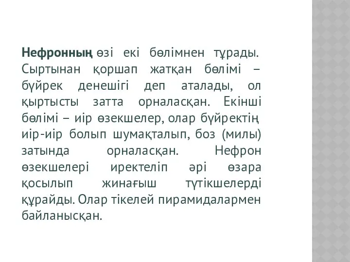 Нефронның өзі екі бөлімнен тұрады. Сыртынан қоршап жатқан бөлімі – бүйрек