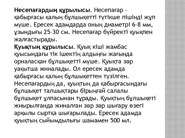 Несепағардың құрылысы. Несепағар – қабырғасы қалың бұлшықетті түтікше пішінді жұп мүше.