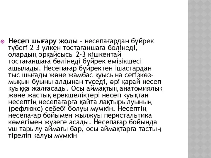 Несеп шығару жолы – несепағардан бүйрек түбегі 2-3 үлкен тостағаншаға бөлінеді,