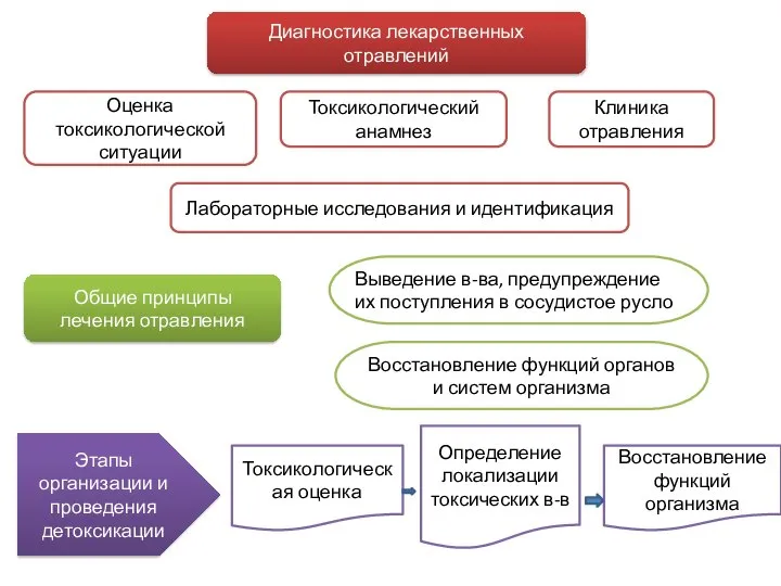 Диагностика лекарственных отравлений Общие принципы лечения отравления Этапы организации и проведения