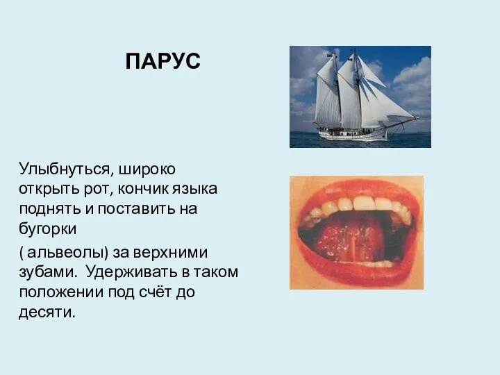 ПАРУС Улыбнуться, широко открыть рот, кончик языка поднять и поставить на