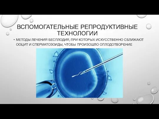 ВСПОМОГАТЕЛЬНЫЕ РЕПРОДУКТИВНЫЕ ТЕХНОЛОГИИ МЕТОДЫ ЛЕЧЕНИЯ БЕСПЛОДИЯ, ПРИ КОТОРЫХ ИСКУССТВЕННО СБЛИЖАЮТ ООЦИТ И СПЕРМАТОЗОИДЫ, ЧТОБЫ ПРОИЗОШЛО ОПЛОДОТВОРЕНИЕ