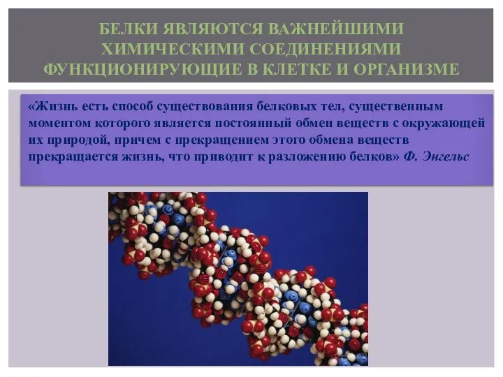 «Жизнь есть способ существования белковых тел, существенным моментом которого является постоянный