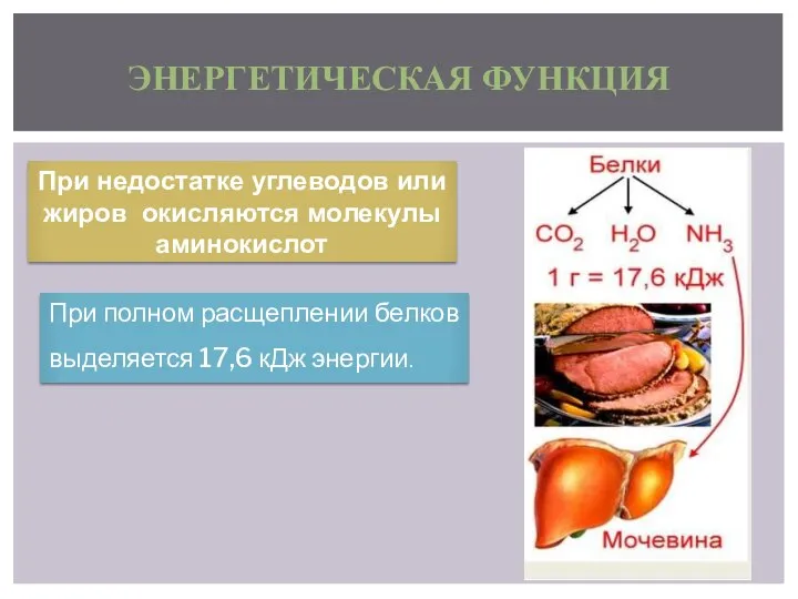 ЭНЕРГЕТИЧЕСКАЯ ФУНКЦИЯ При полном расщеплении белков выделяется 17,6 кДж энергии. При