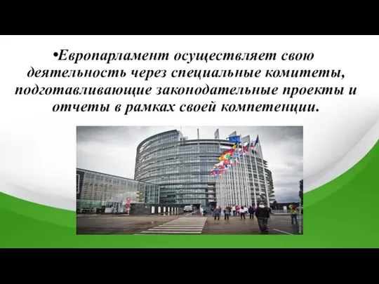 Европарламент осуществляет свою деятельность через специальные комитеты, подготавливающие законодательные проекты и отчеты в рамках своей компетенции.