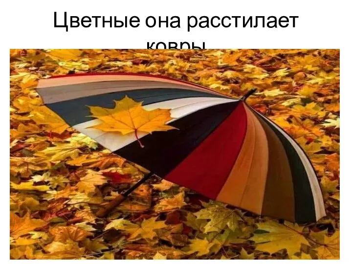 Цветные она расстилает ковры