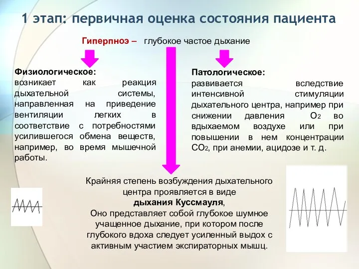 1 этап: первичная оценка состояния пациента Гиперпноэ – глубокое частое дыхание