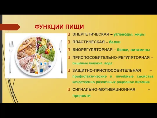 ФУНКЦИИ ПИЩИ ЭНЕРГЕТИЧЕСКАЯ – углеводы, жиры ПЛАСТИЧЕСКАЯ – белки БИОРЕГУЛЯТОРНАЯ –