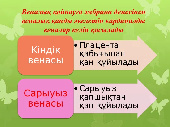 Веналық қойнауға эмбрион денесінен веналық қанды әкелетін кардиналды веналар келіп қосылады