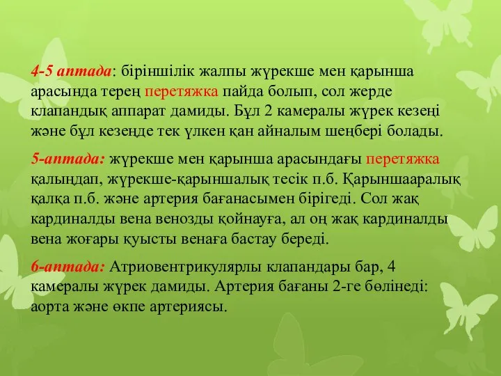 4-5 аптада: біріншілік жалпы жүрекше мен қарынша арасында терең перетяжка пайда