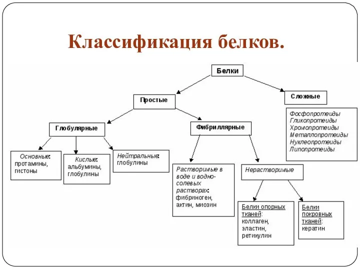 Классификация белков.