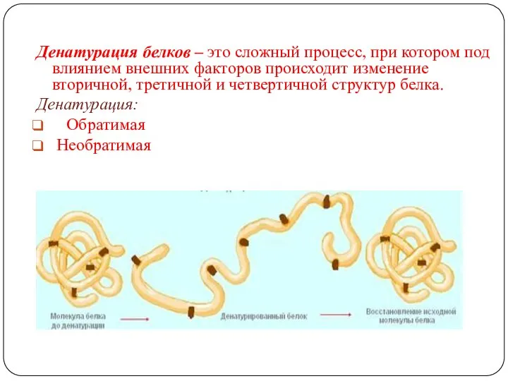 Денатурация белков – это сложный процесс, при котором под влиянием внешних