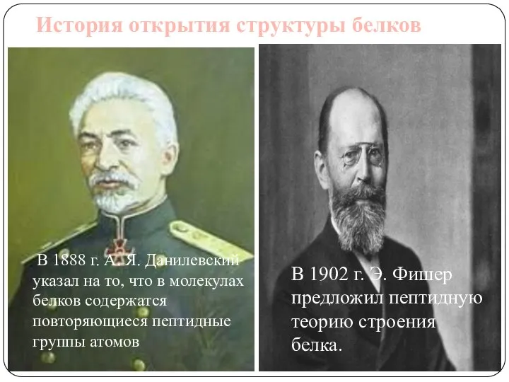 История открытия структуры белков В 1888 г. А. Я. Данилевский указал