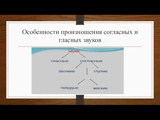 Особенности произношения согласных и гласных звуков