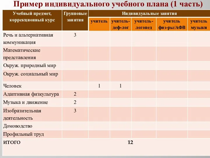 Пример индивидуального учебного плана (1 часть)