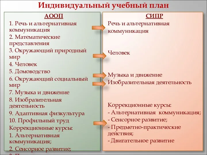 Индивидуальный учебный план АООП 1. Речь и альтернативная коммуникация 2. Математические