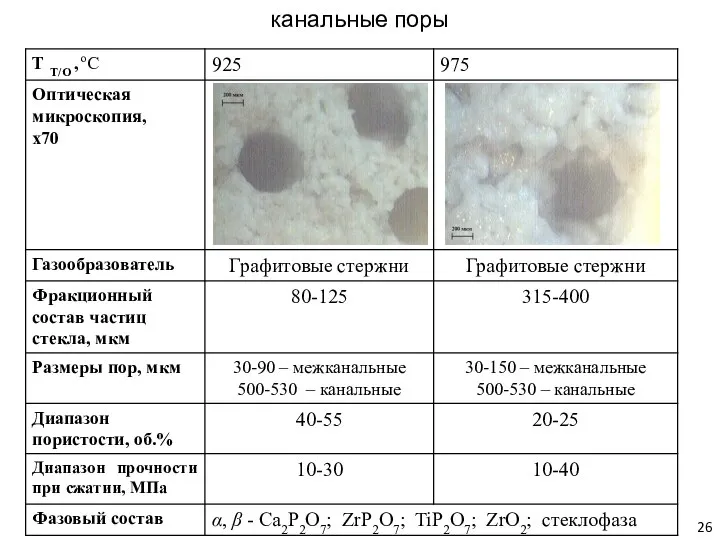 канальные поры 26