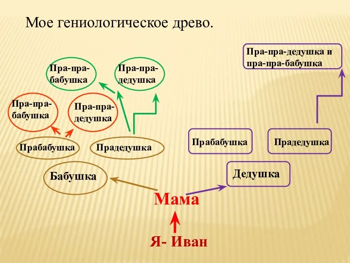 Мое гениологическое древо. Я- Иван Мама Бабушка Дедушка Прабабушка Прадедушка Прабабушка