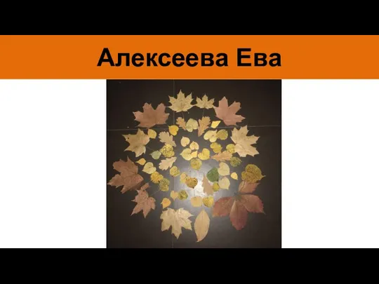 Алексеева Ева