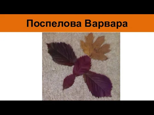 Поспелова Варвара